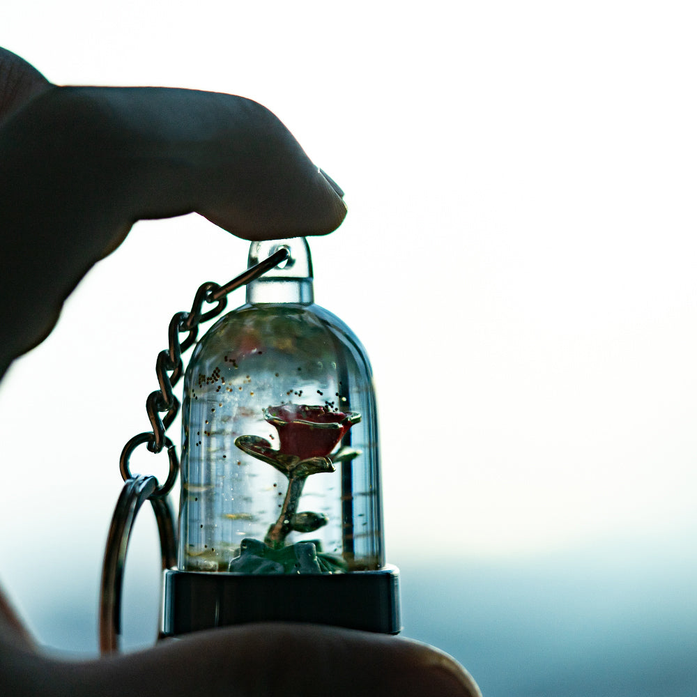 The Little Prince's Exclusive Rose Healing Keychain