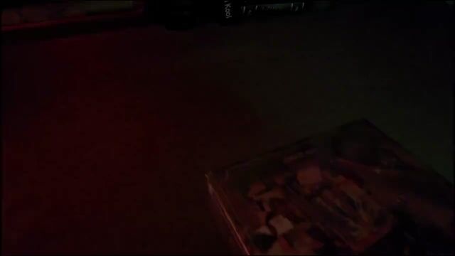 DIY Wizarding World Booknook(Free shipping)